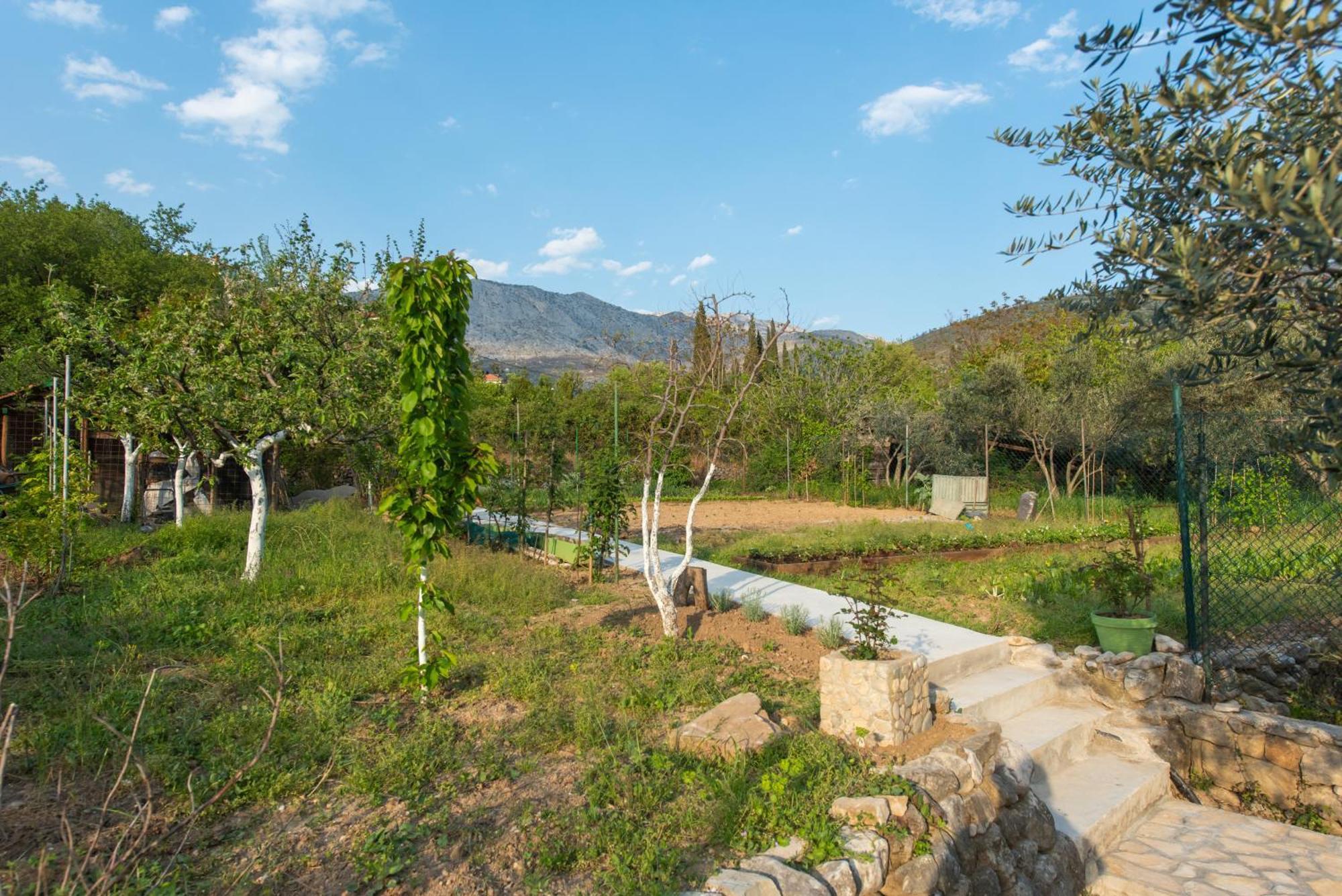 Peace Point Villa Zrnovnica Luaran gambar